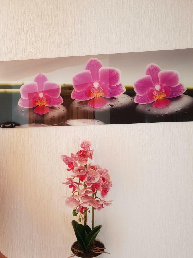 ホテル ゲスト ハウス プリトヴィッツェ ウォーターフォール Plitvička Jezera エクステリア 写真